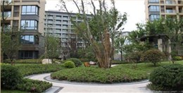 汇智湖畔公寓辐射制冷系统解决方案
